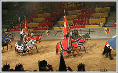 Medieval Times Dinner Show & Tournament